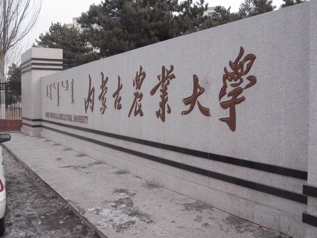 内蒙古大学毕业证(内蒙古大学毕业证样本)