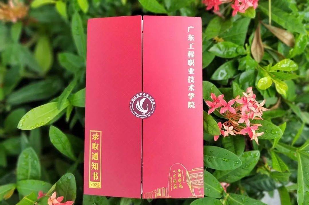 华南师范大学毕业证(华南师范大学毕业证书全日制)
