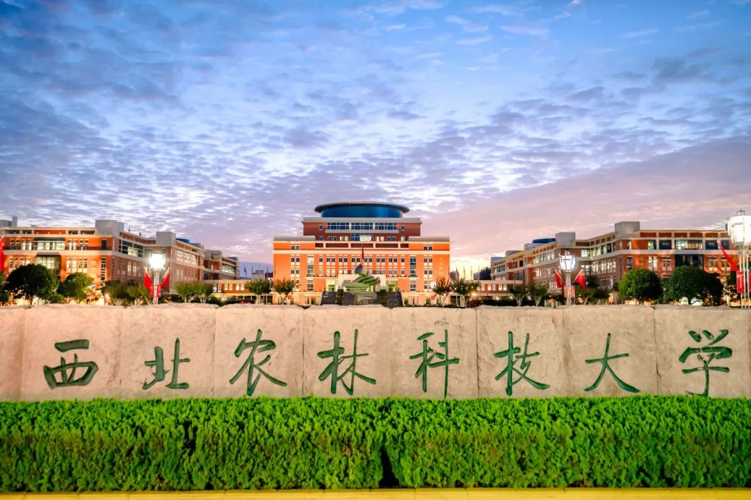 西北农林科技大学(西北农林科技大学研究生院)