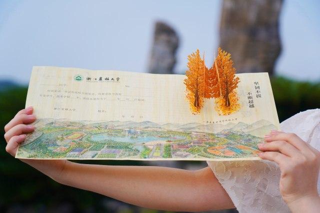 南开大学文凭(南开大学文凭含金量高吗)