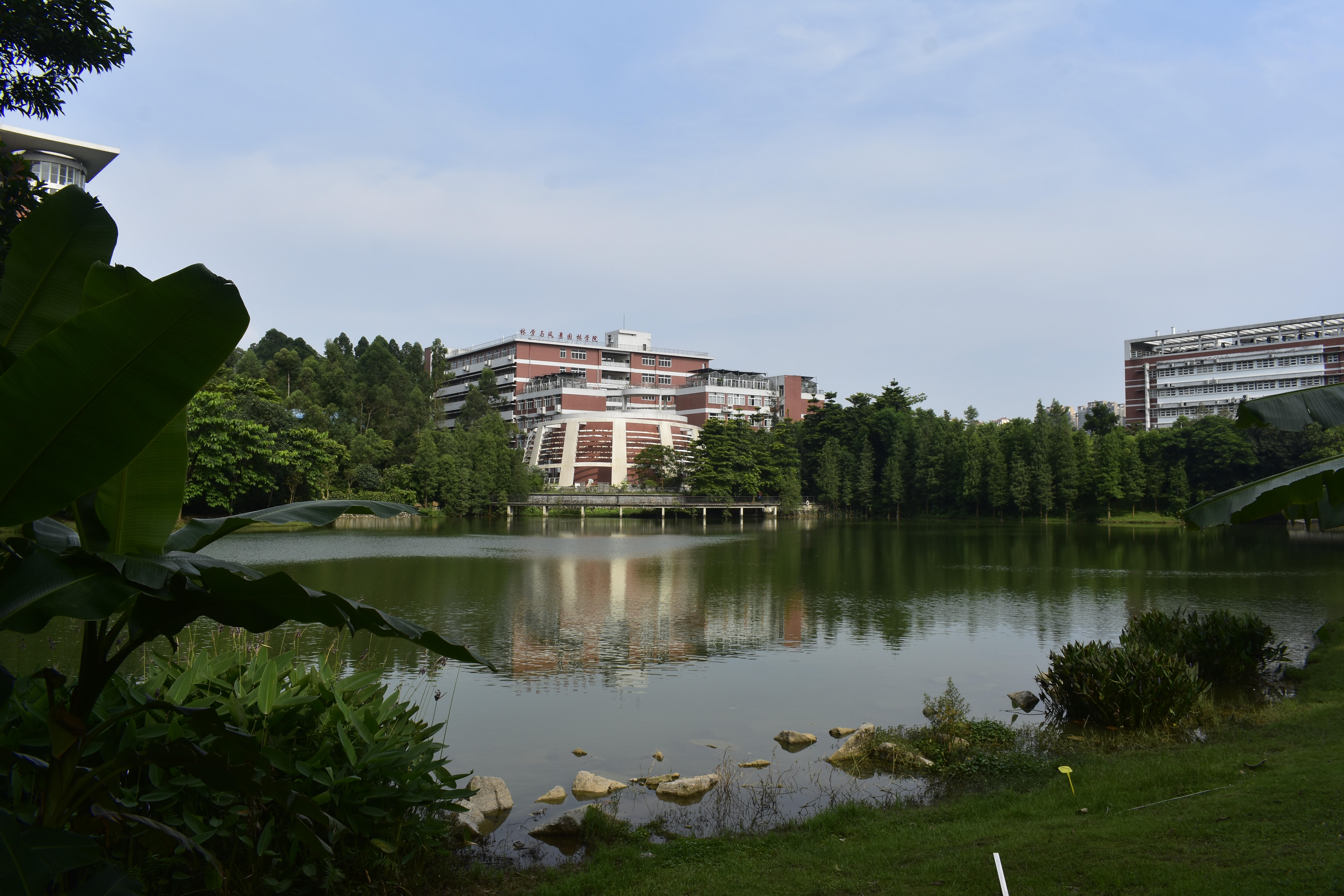 华南农业大学录取分数线