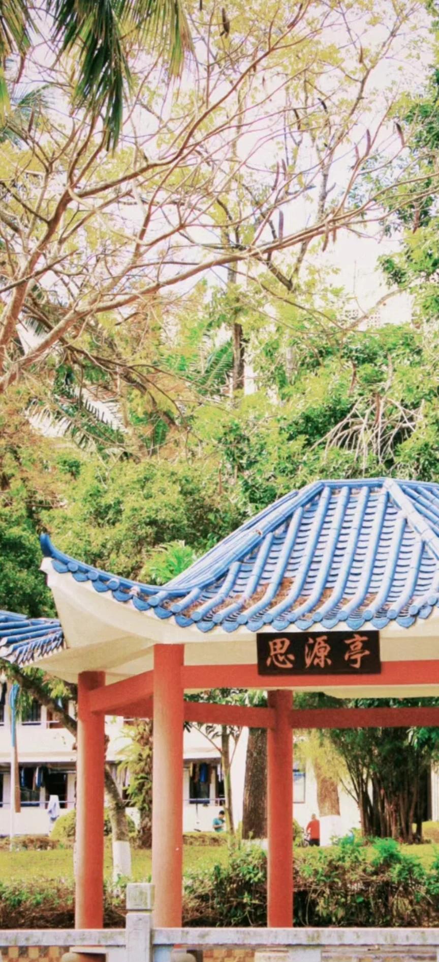 海南大学录取分数线2025