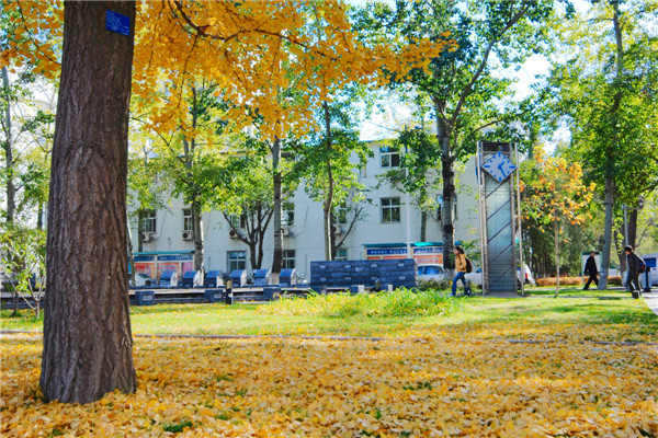 北京邮电大学文凭报考要求